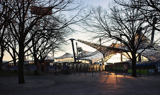 展示了未来