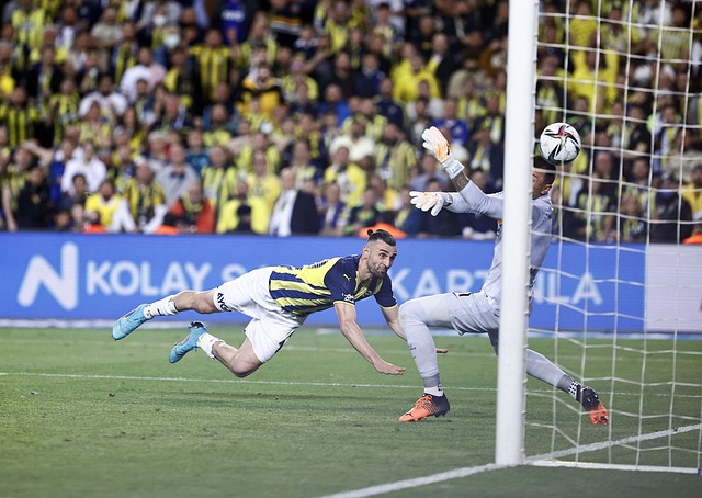 许是多个因 许是多个因