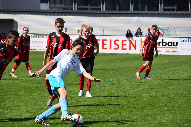 上海海港的 上海海港的